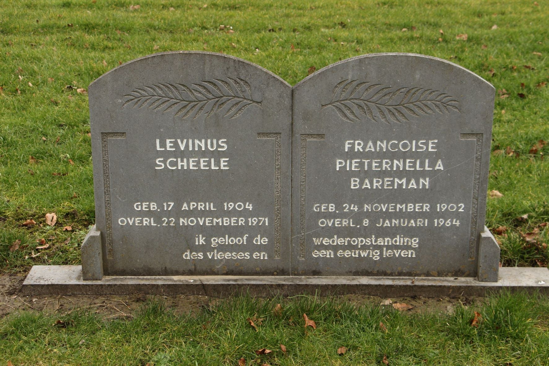 Levinus Scheele