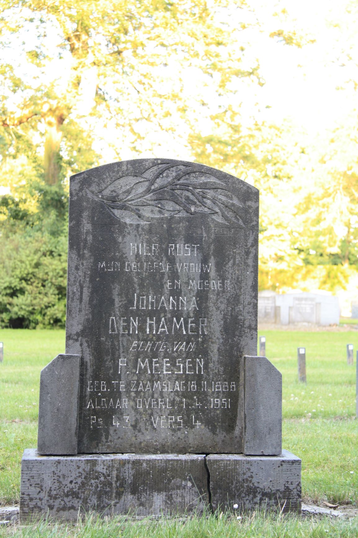 Johanna den Hamer