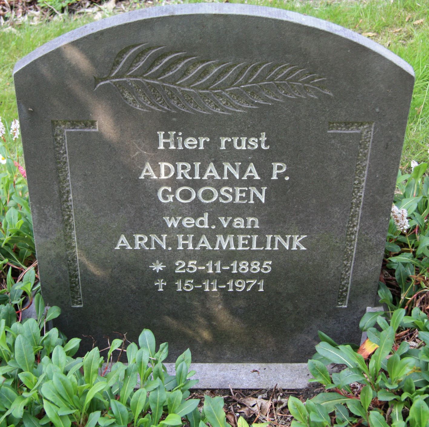 Adriana Pieternella Goosen