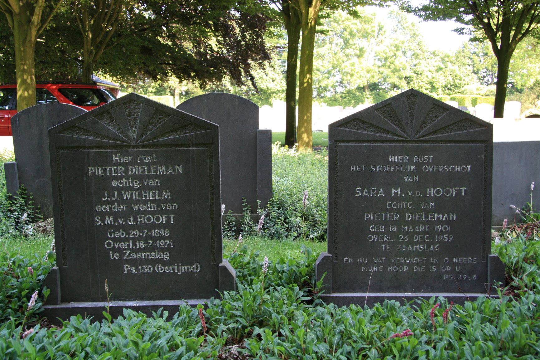 Sara Maria van der Hooft