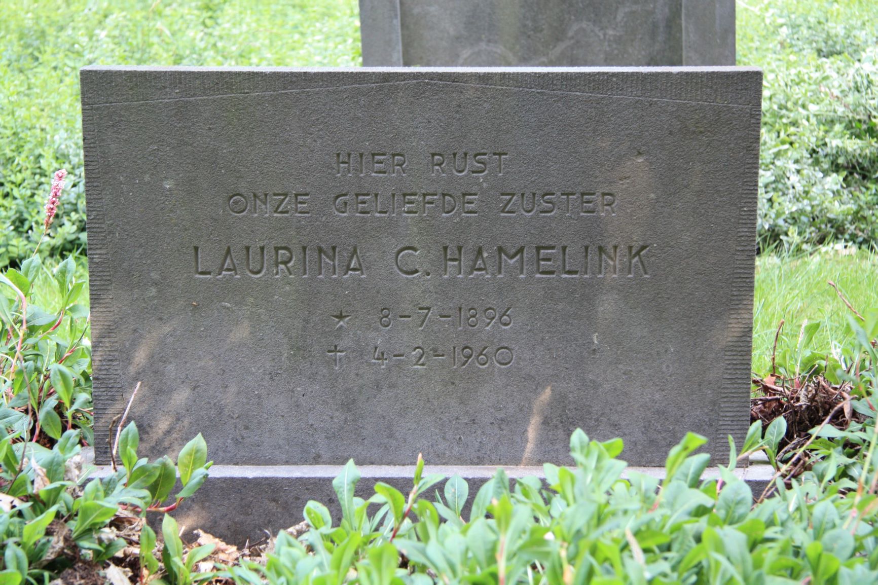 Laurina Cornelia Hamelink