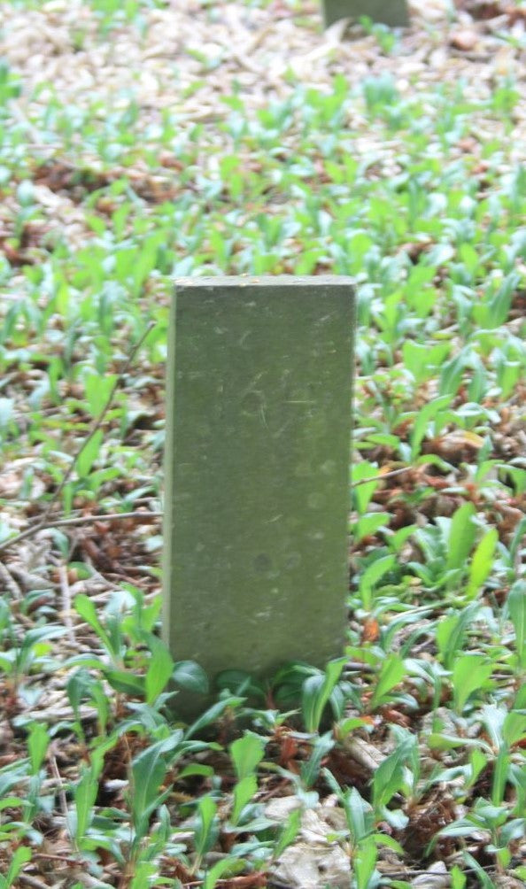Pieter de Kraker