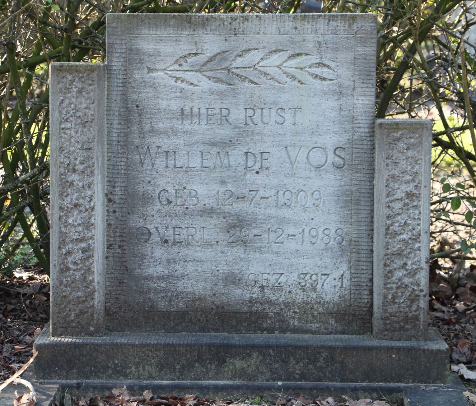 Willem de Vos