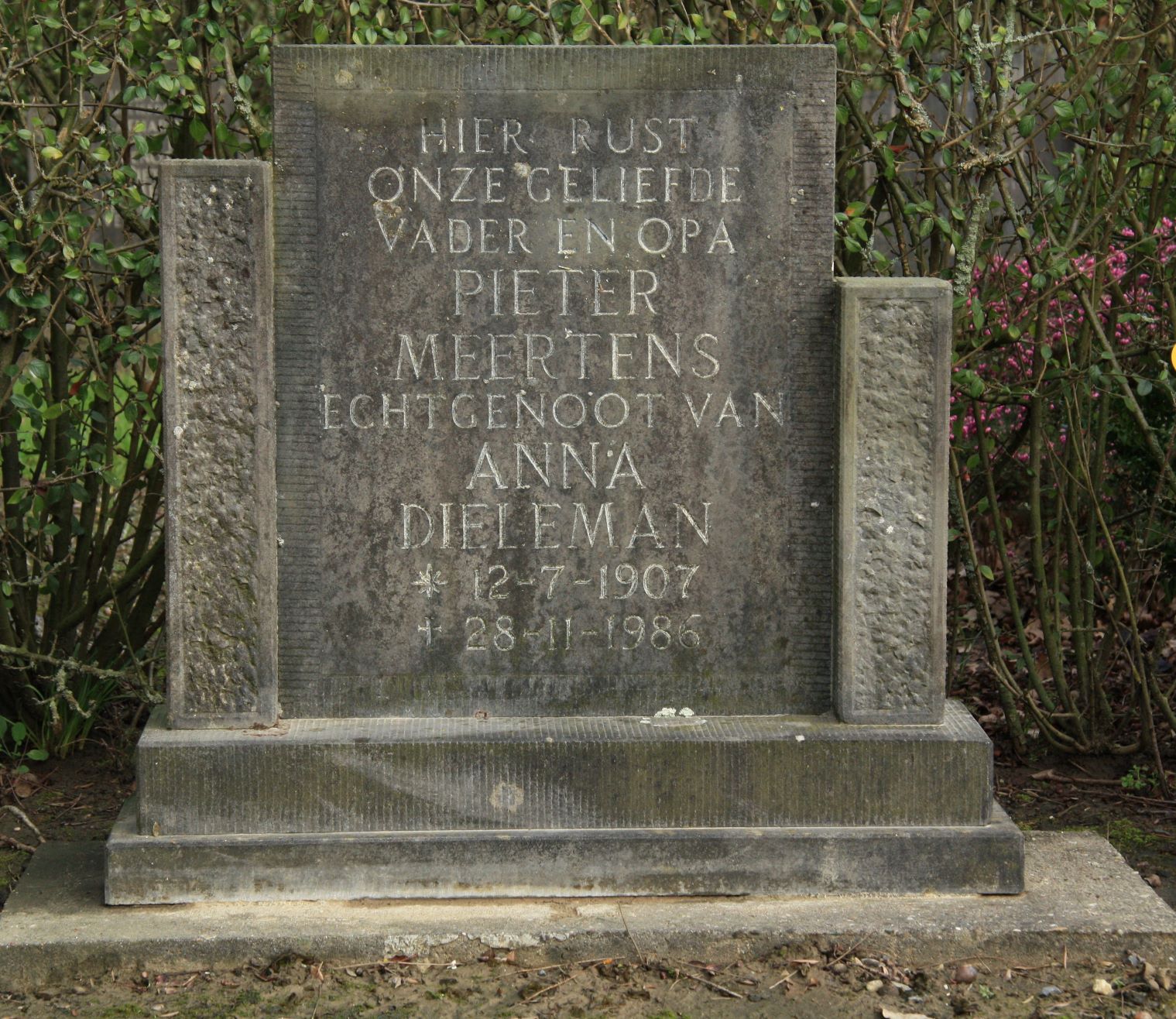 Pieter Meertens