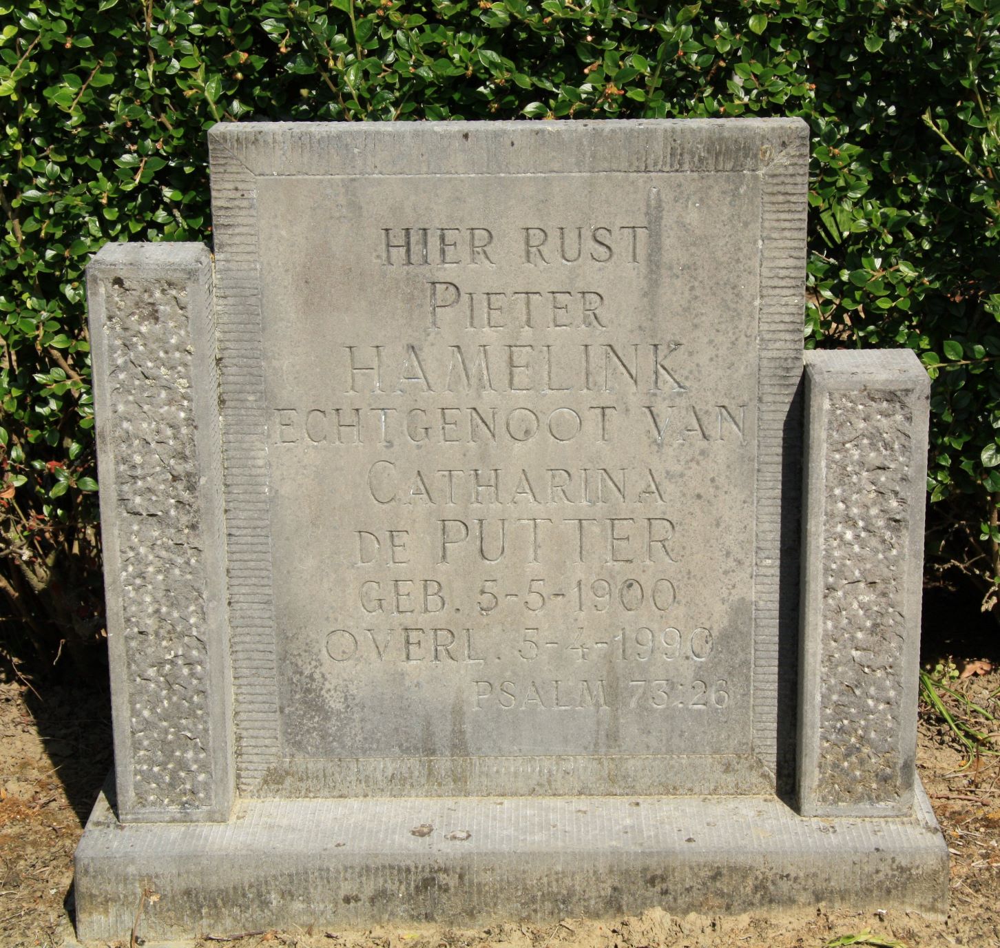 Pieter Hamelink