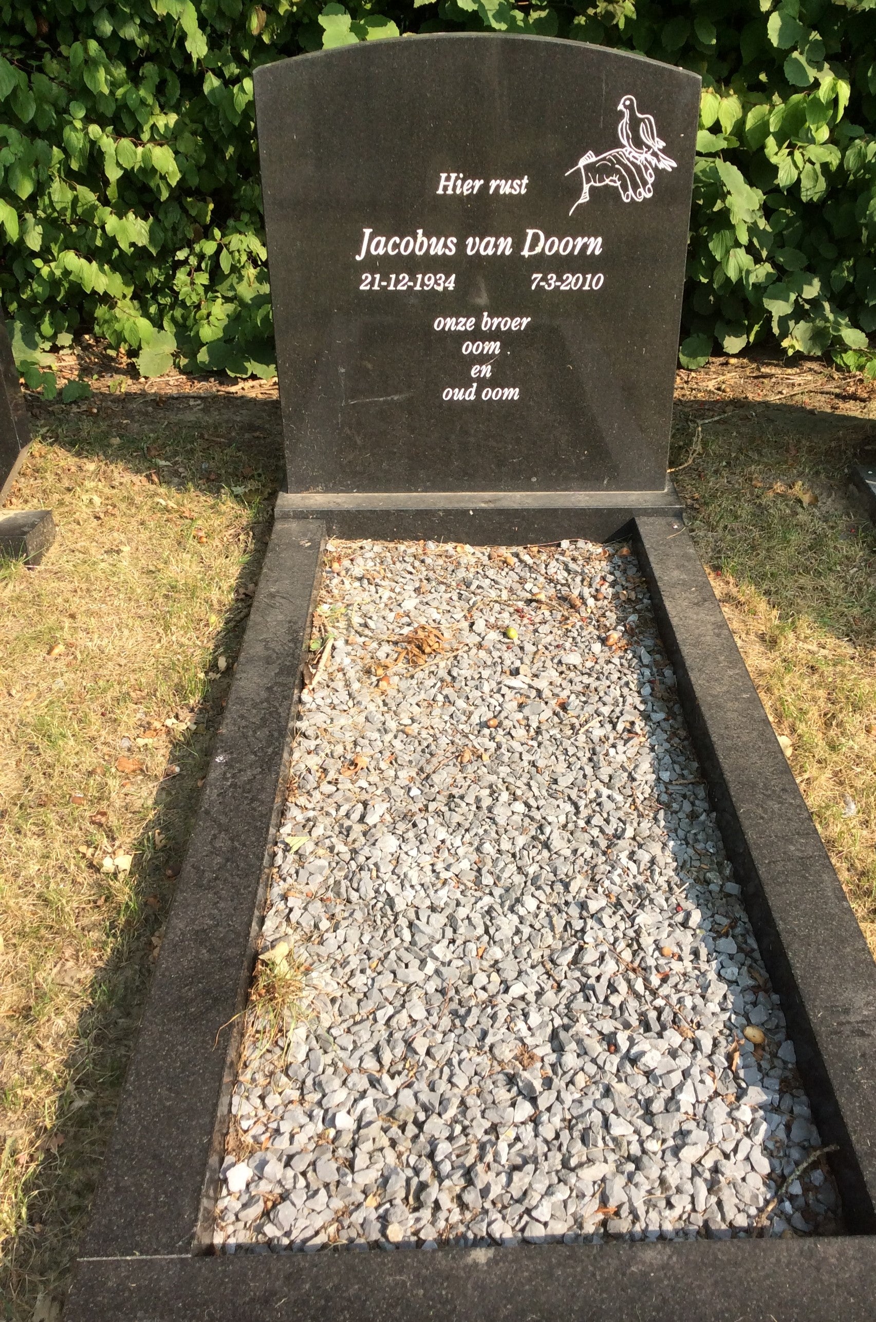 Jacobus van Doorn