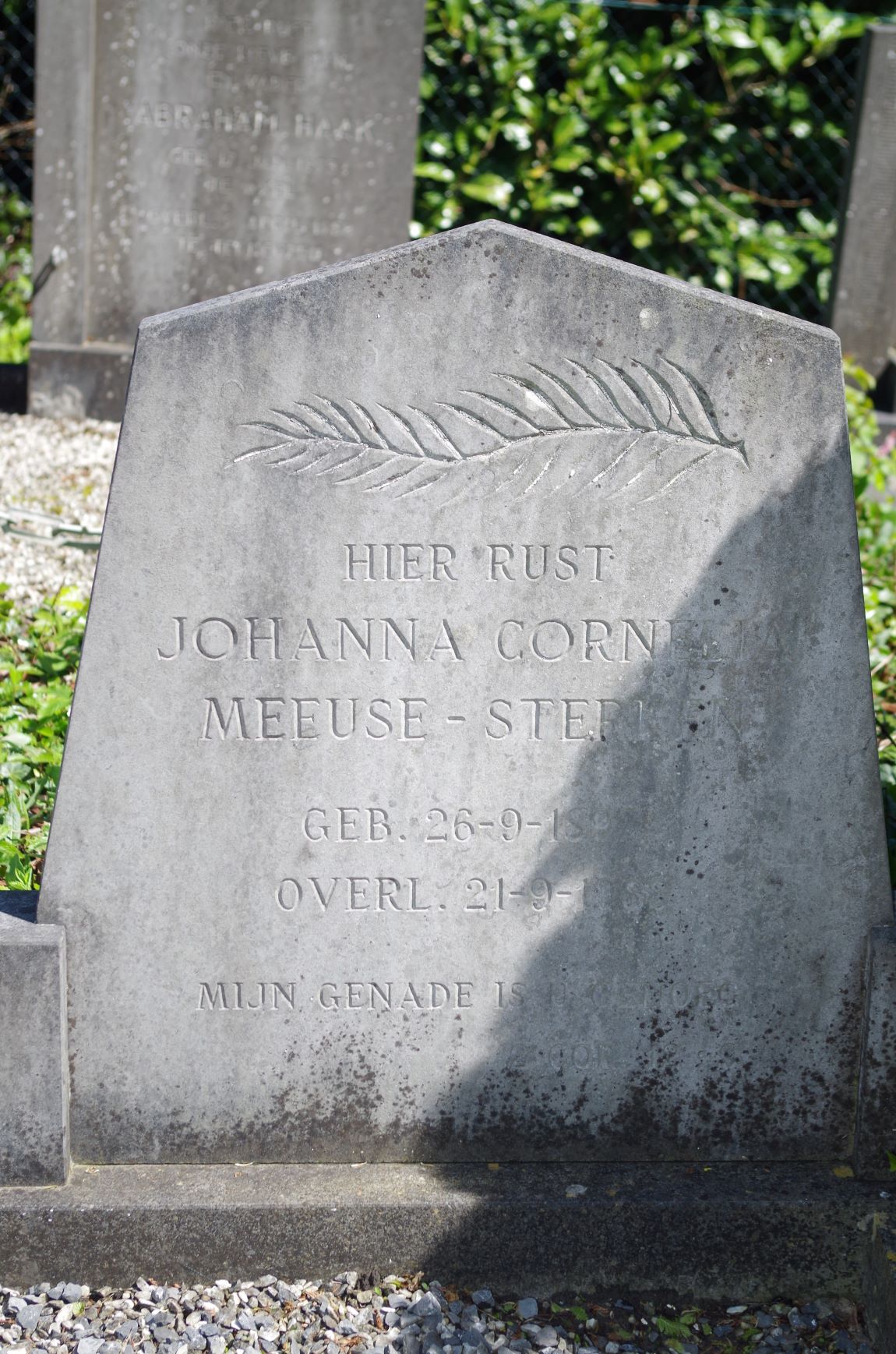 Johanna Cornelia Sterken