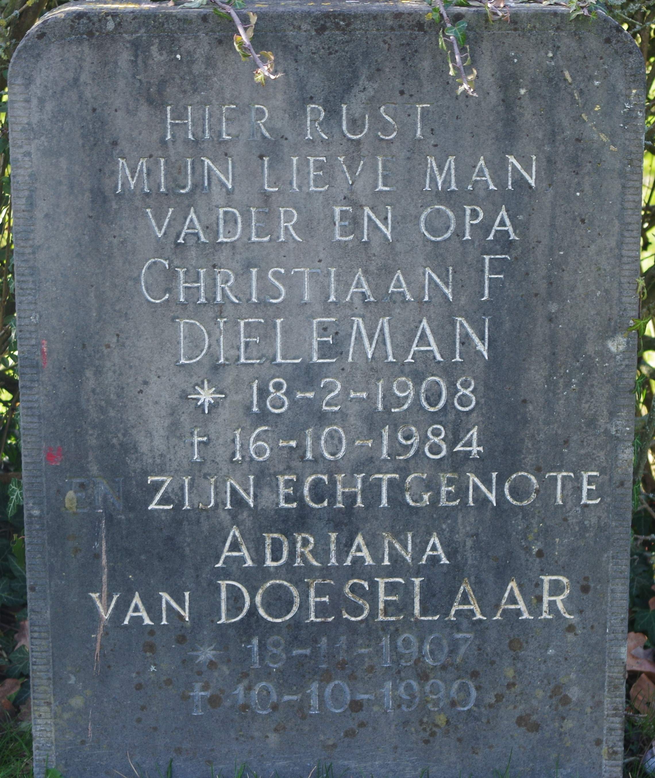 Adriana van Doeselaar