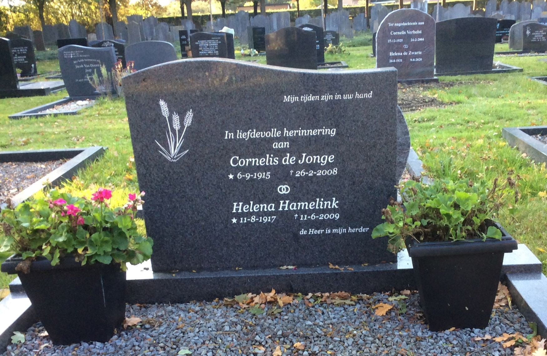 Cornelis de Jonge
