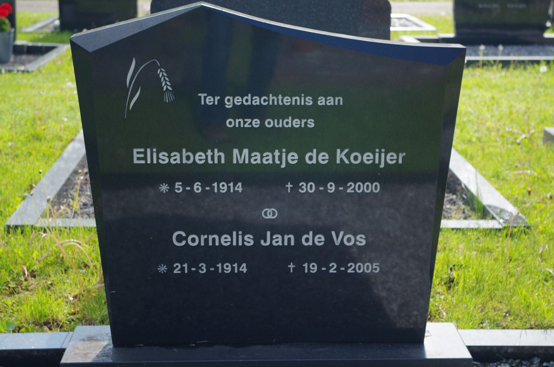 Cornelis Jan de Vos