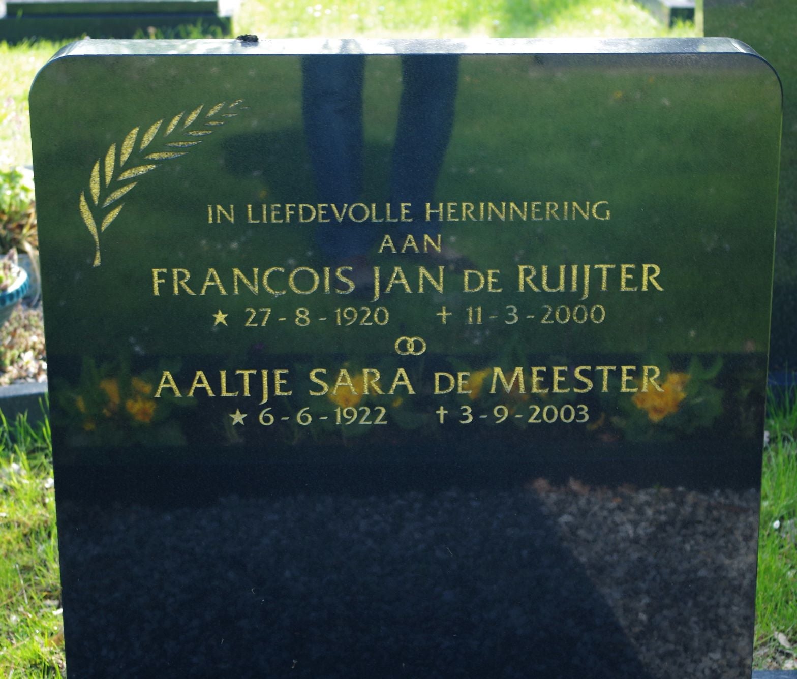 Aaltje Sara de Ruijter-de Meester