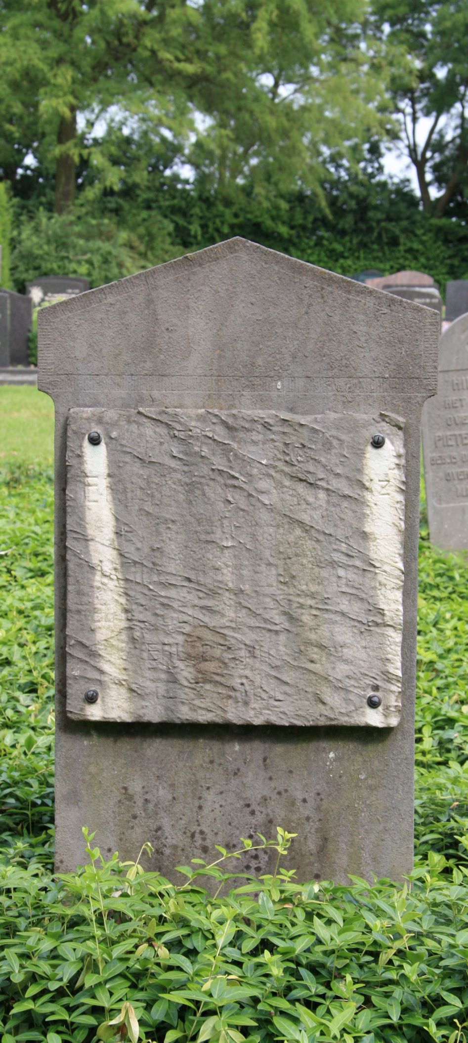 Maria P. van Kerkvoort