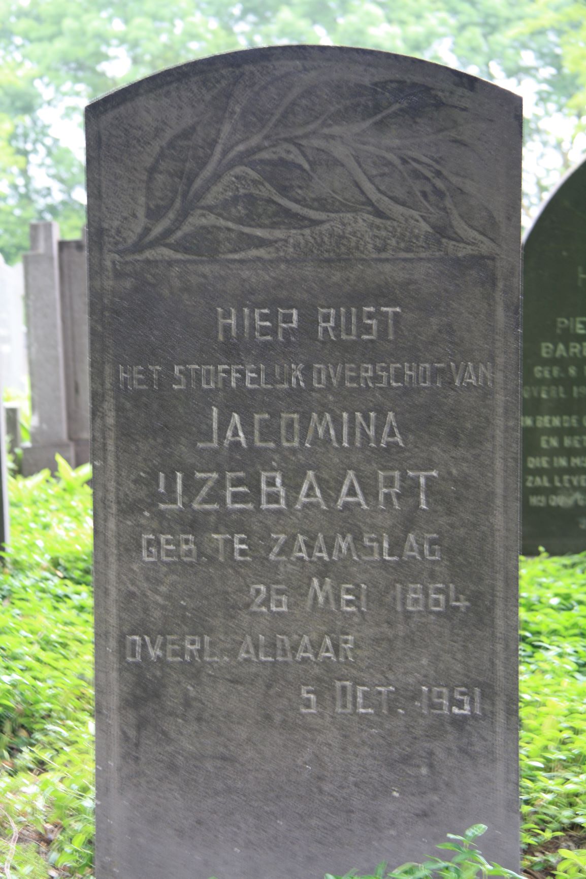 Jacomina IJzebaart