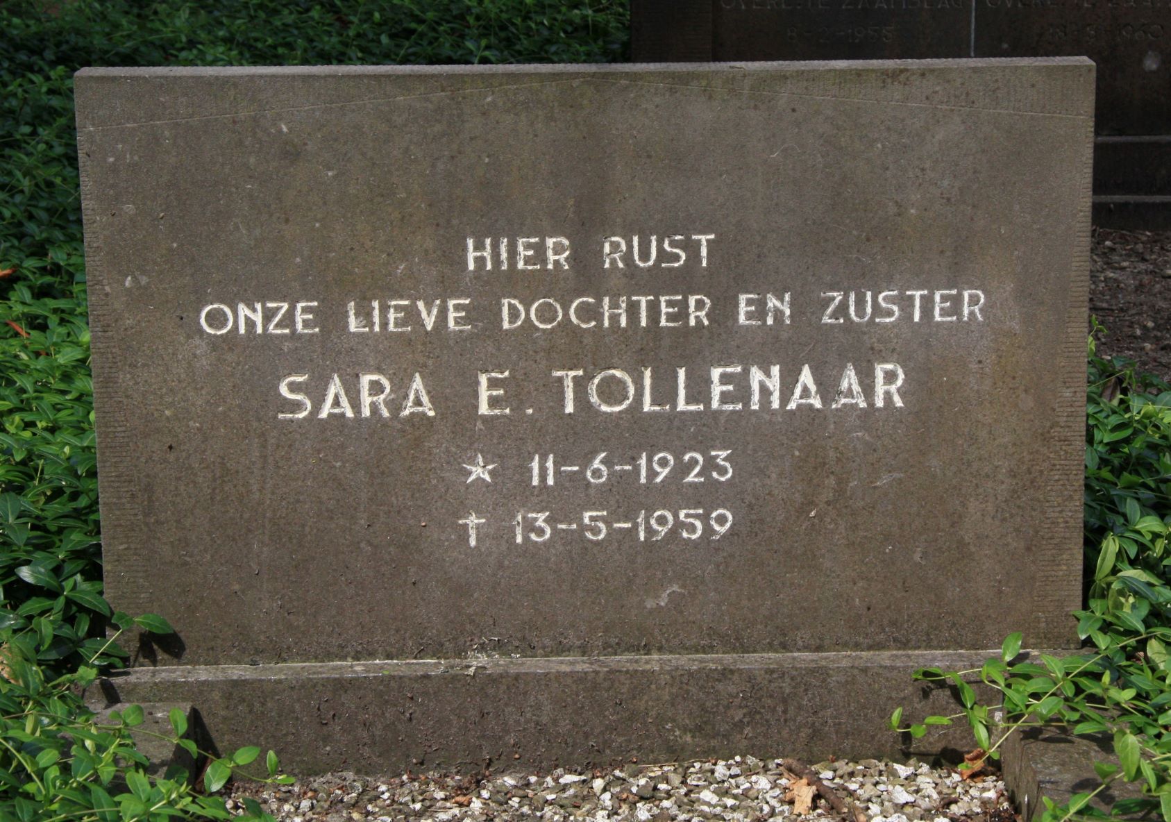 Sara Elisabeth Tollenaar