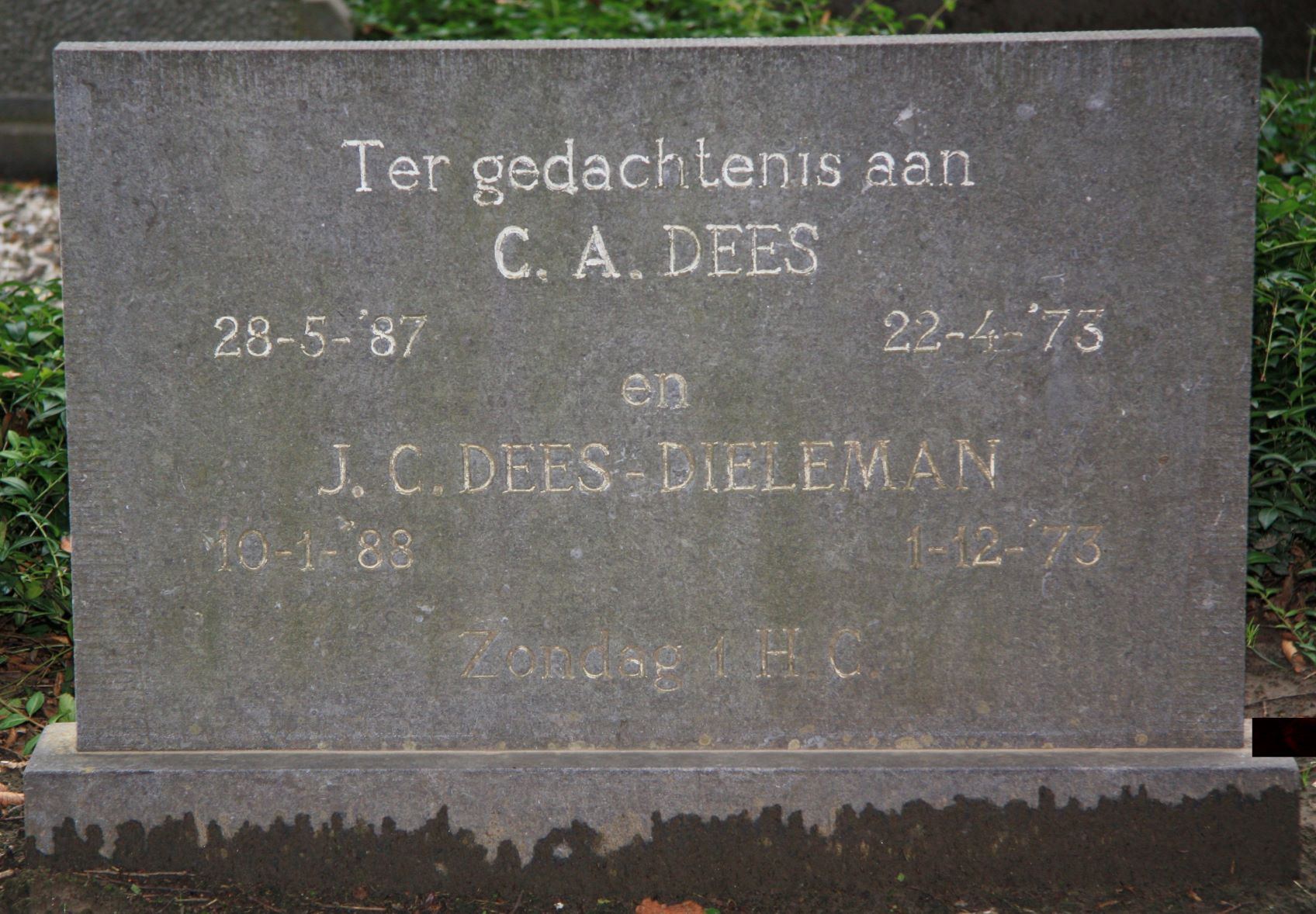 Cornelis Abraham Dees