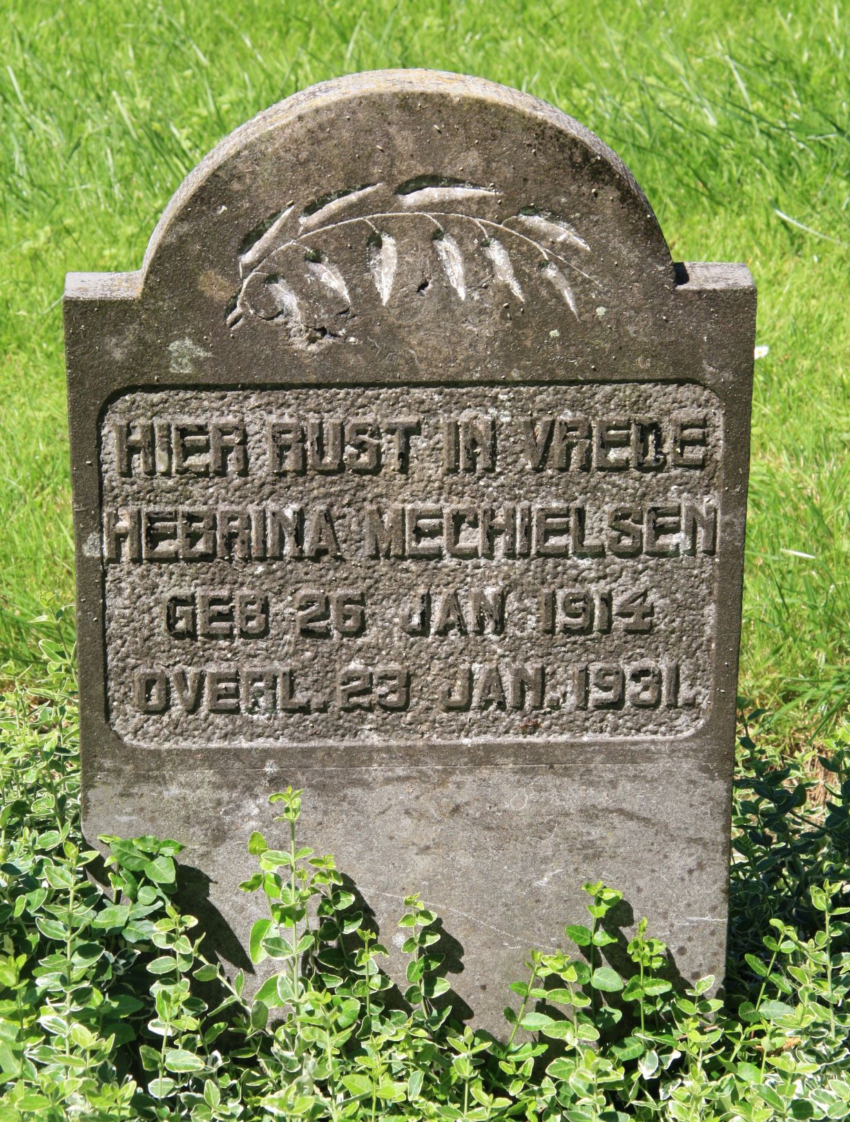 Hebrina Mechielsen