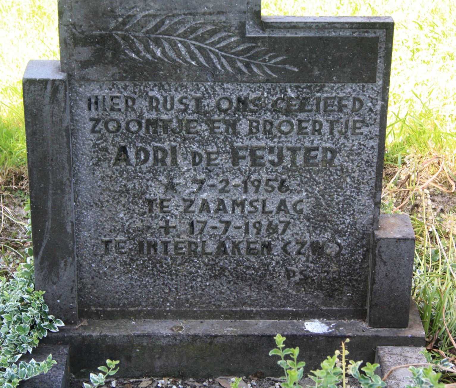 Adriaan de Feijter