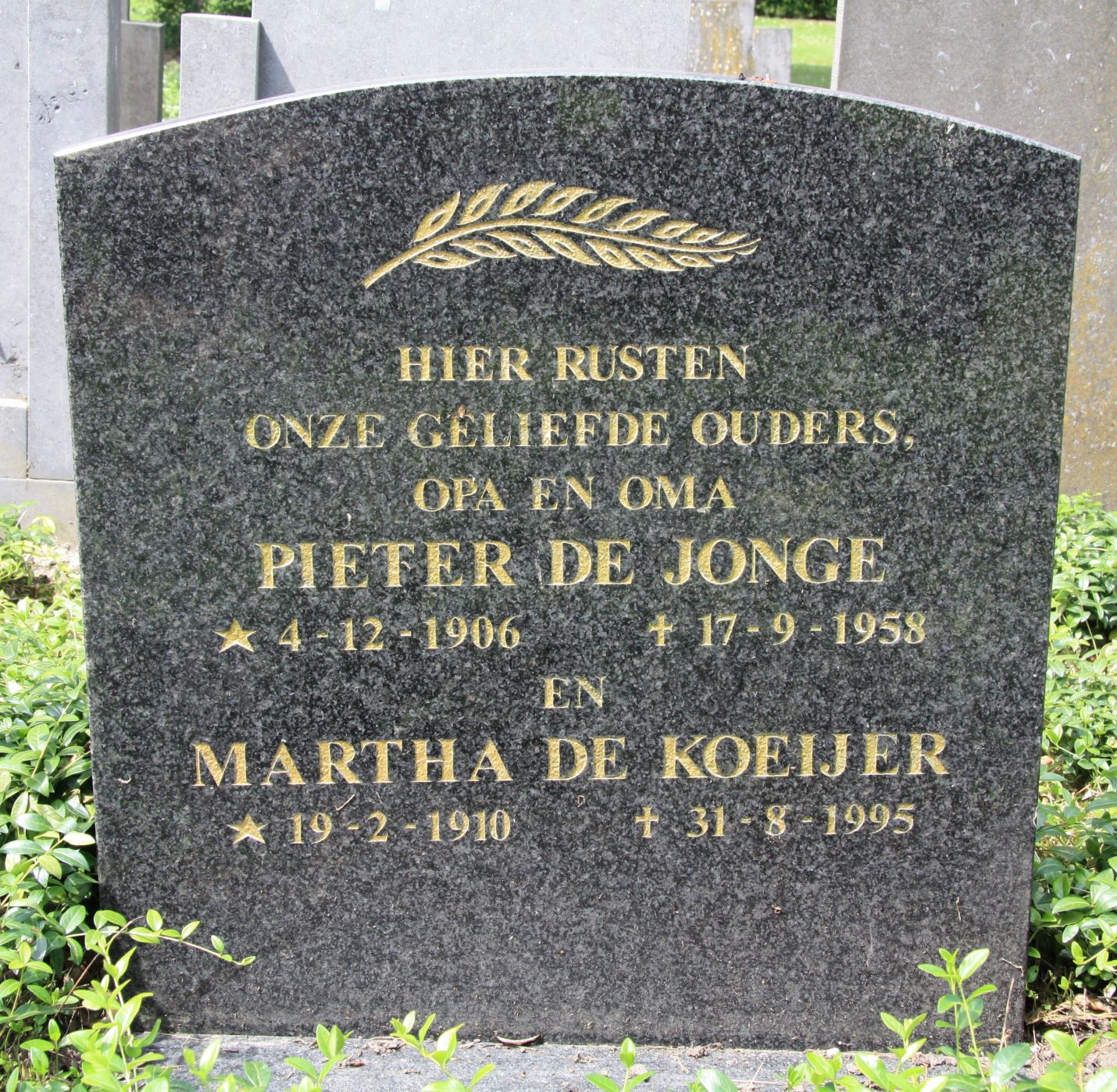 Pieter de Jonge