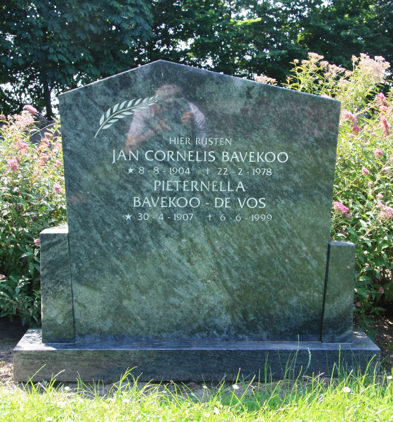 Jan Cornelis Bavekoo