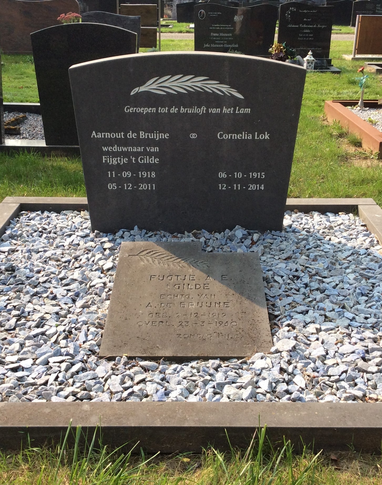 Aarnout de Bruijne