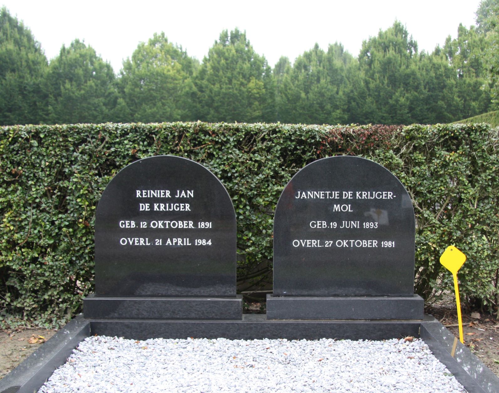 Reinier Jan de Krijger