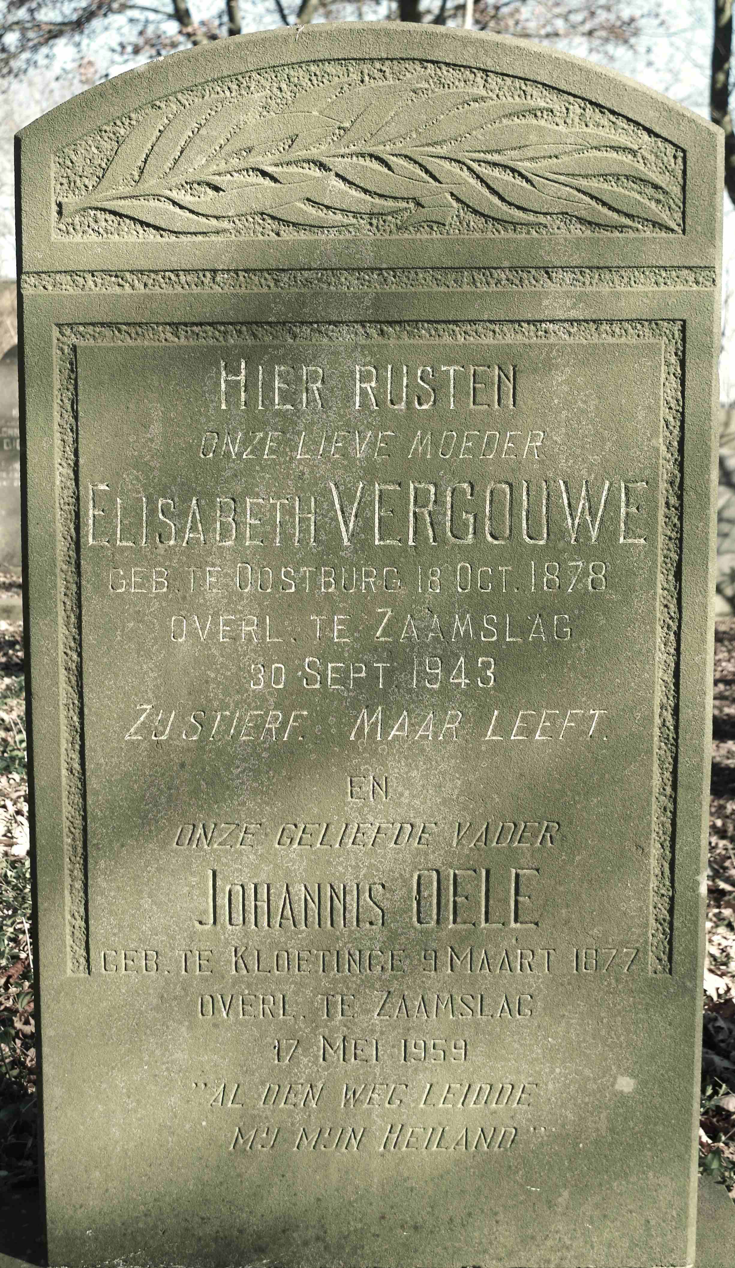 Johannis Oele