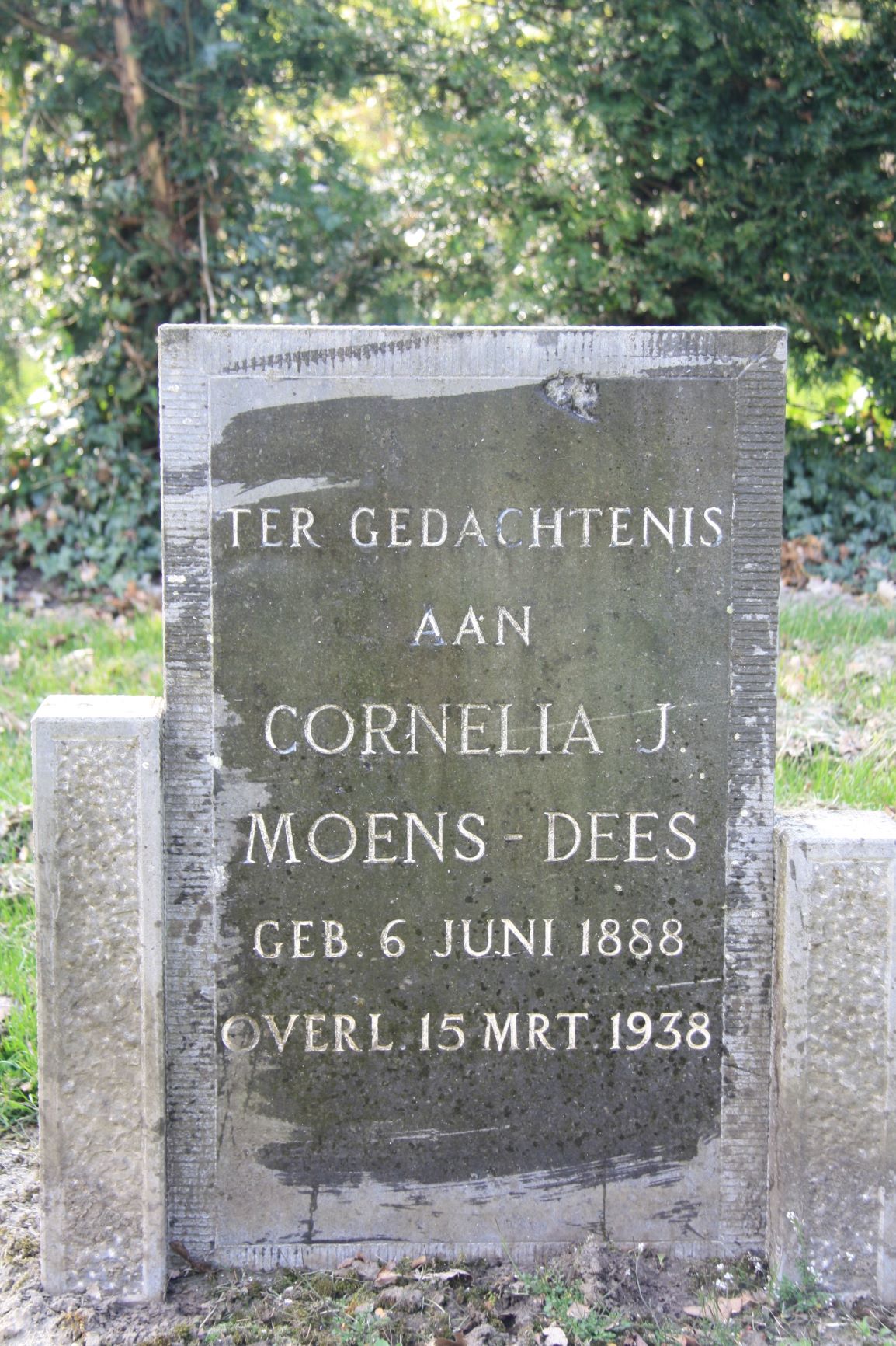 Cornelia Janneke Dees