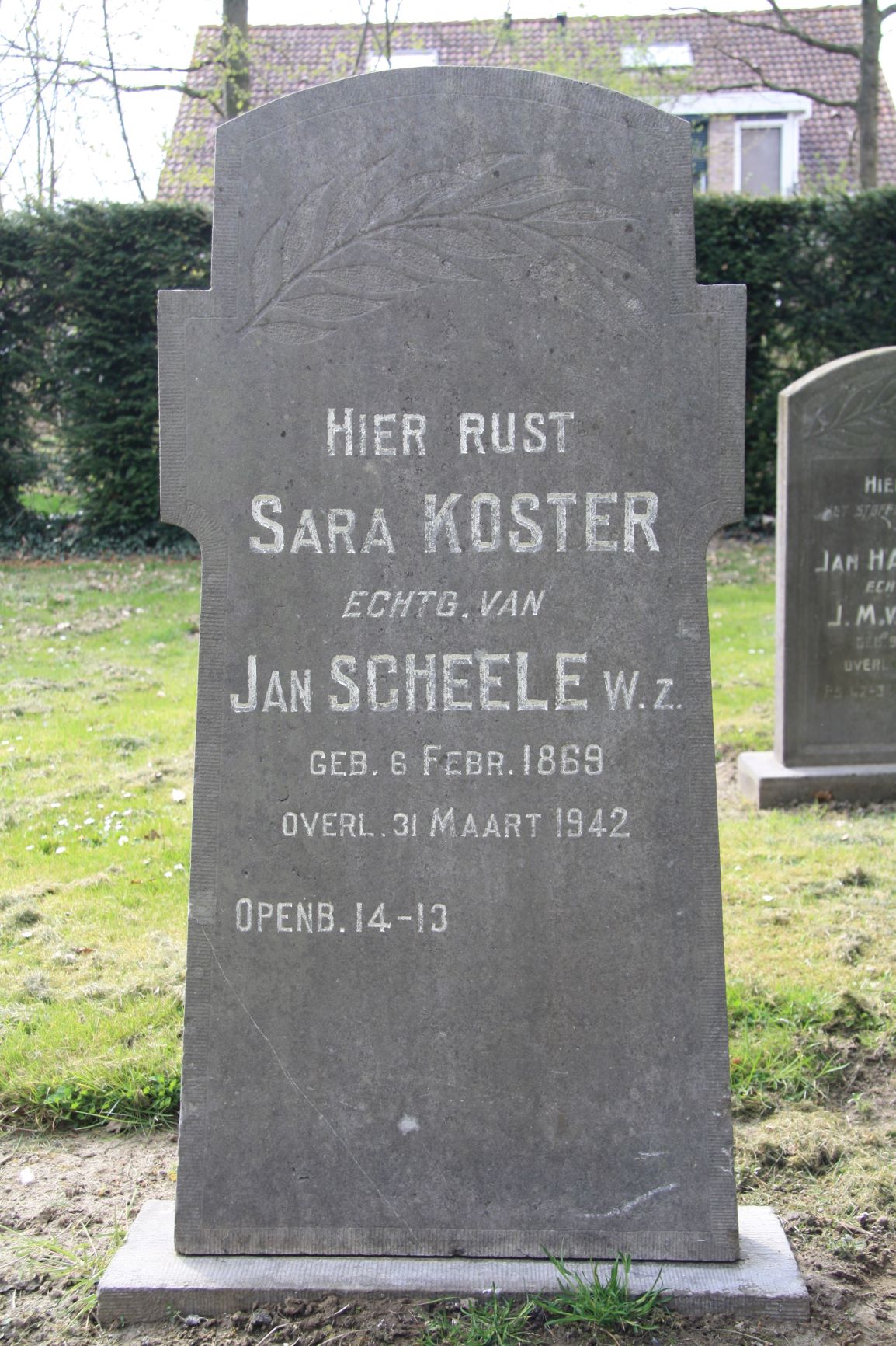Sara Koster