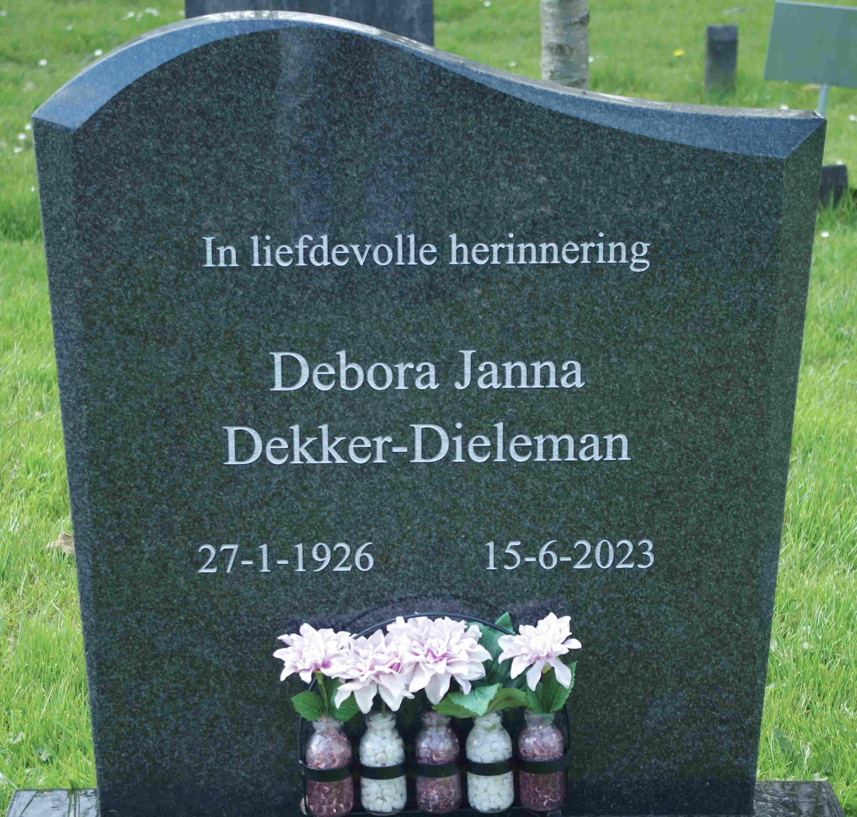 Debora Janna Dieleman