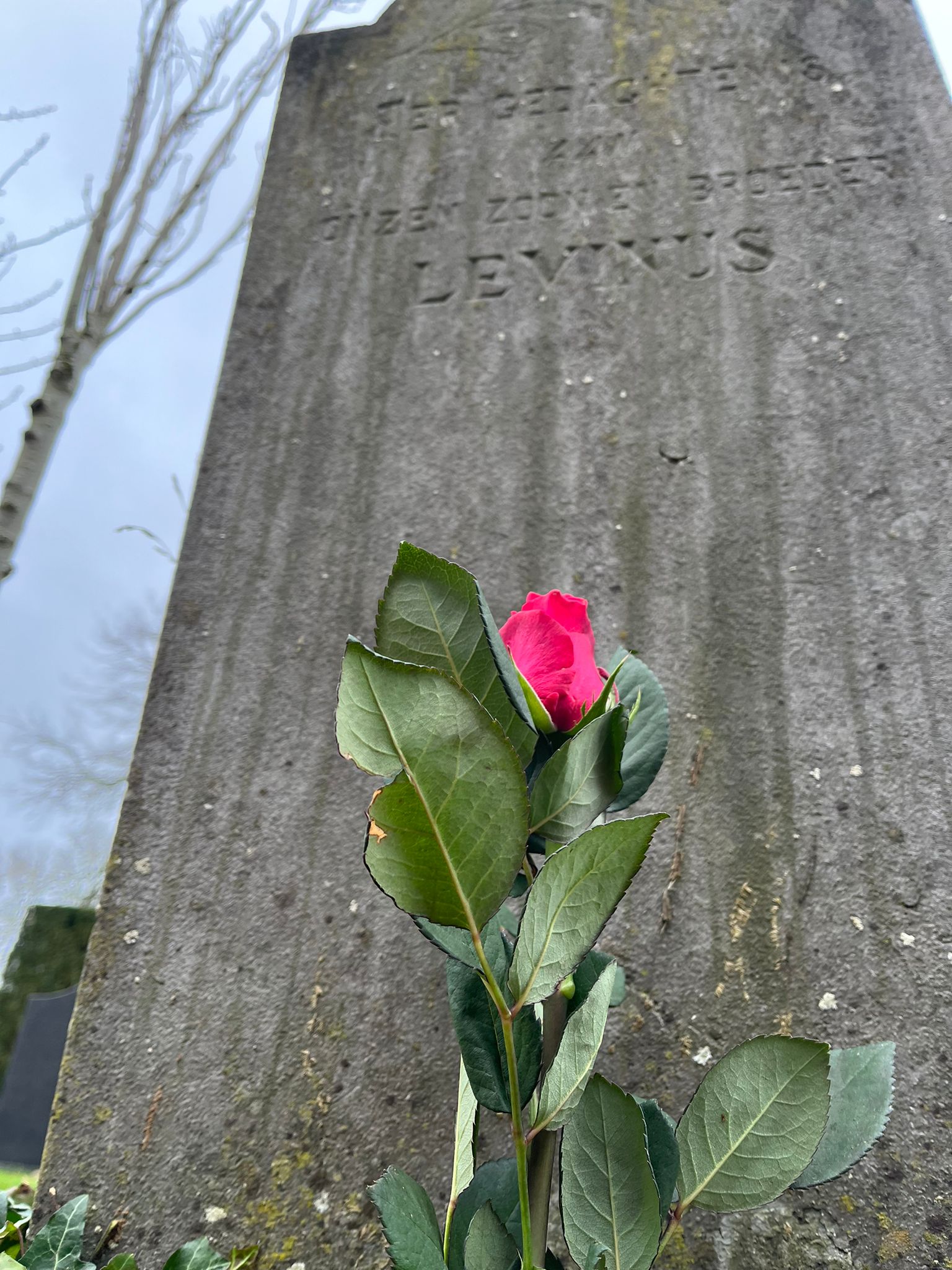 Foto uit het verhaal: Levinus de Putter, een decennialang zwijgen